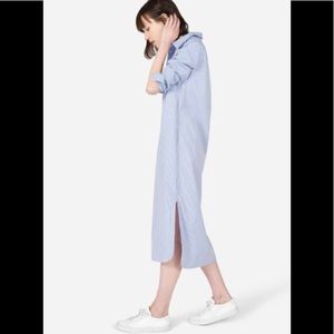 Everlane Poplin Striped Dress
